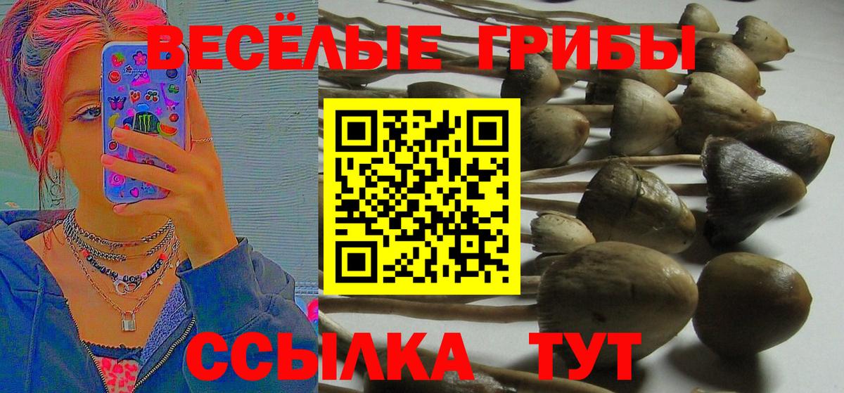 Мелеуз  Галлюциногенные грибы прущие грибы  Вход с VPN 