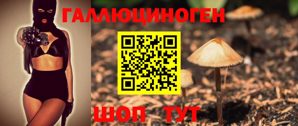 Галлюциногенные грибы прущие грибы Мелеуз
